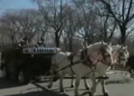 Un american şi-a transformat Hummerul în căruţă (VIDEO)